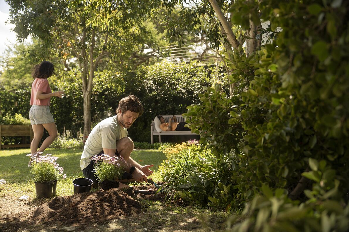 Diversity in green spaces: gardens as individual as their owners  