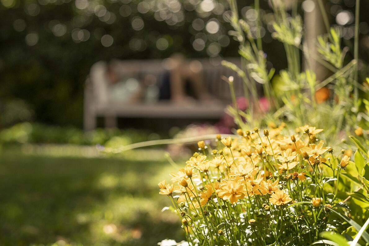 Ganz entspannt zum Sommergarten 