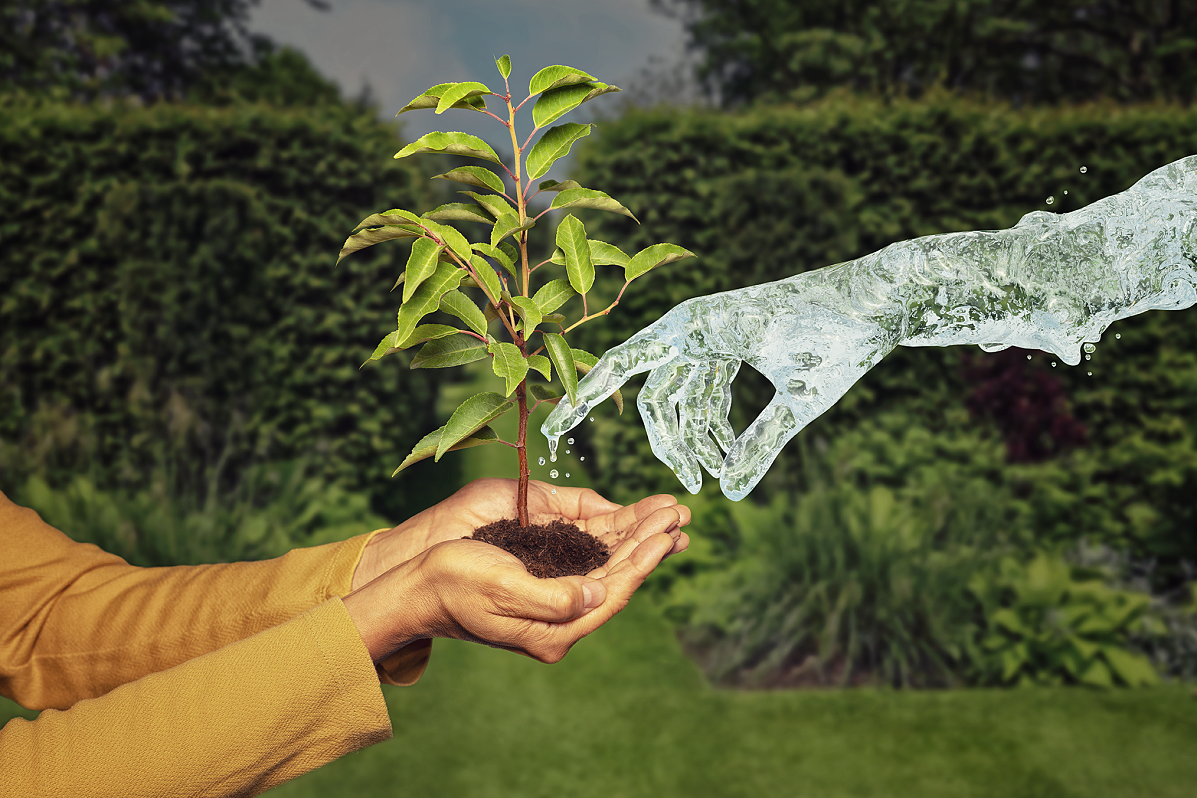 World Environment Day