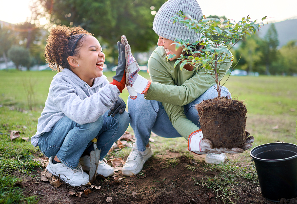 Gardens beyond the fence – growing sustainability together