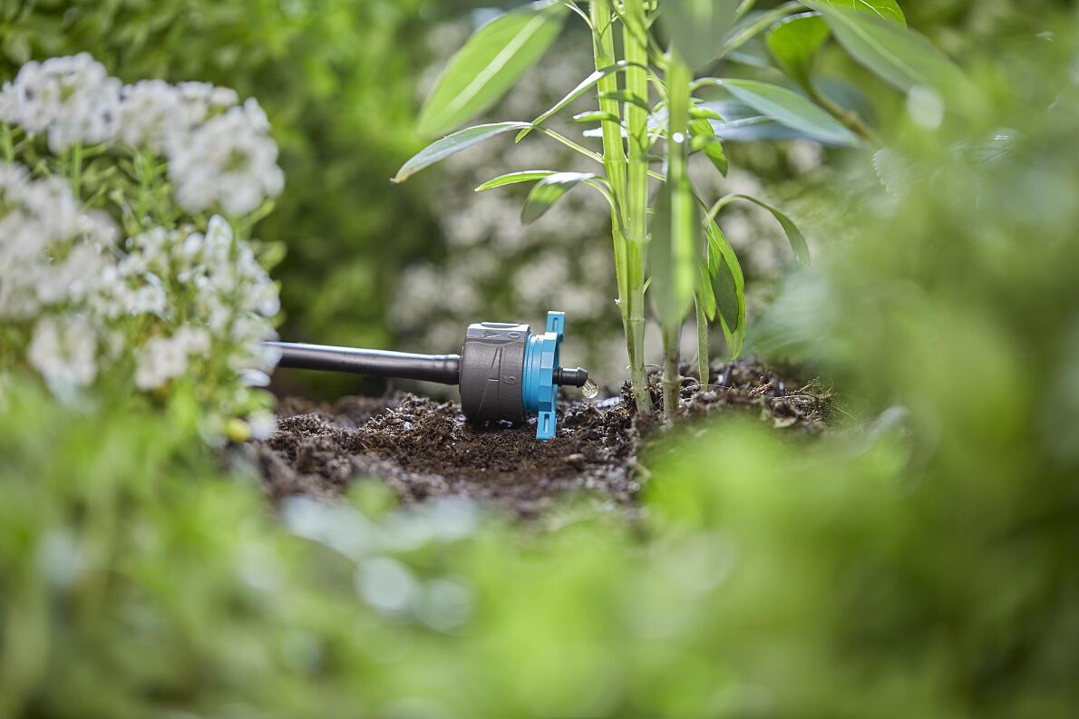 Bewässerungsverbote im Garten: Wenn der Durst zur Regel wird