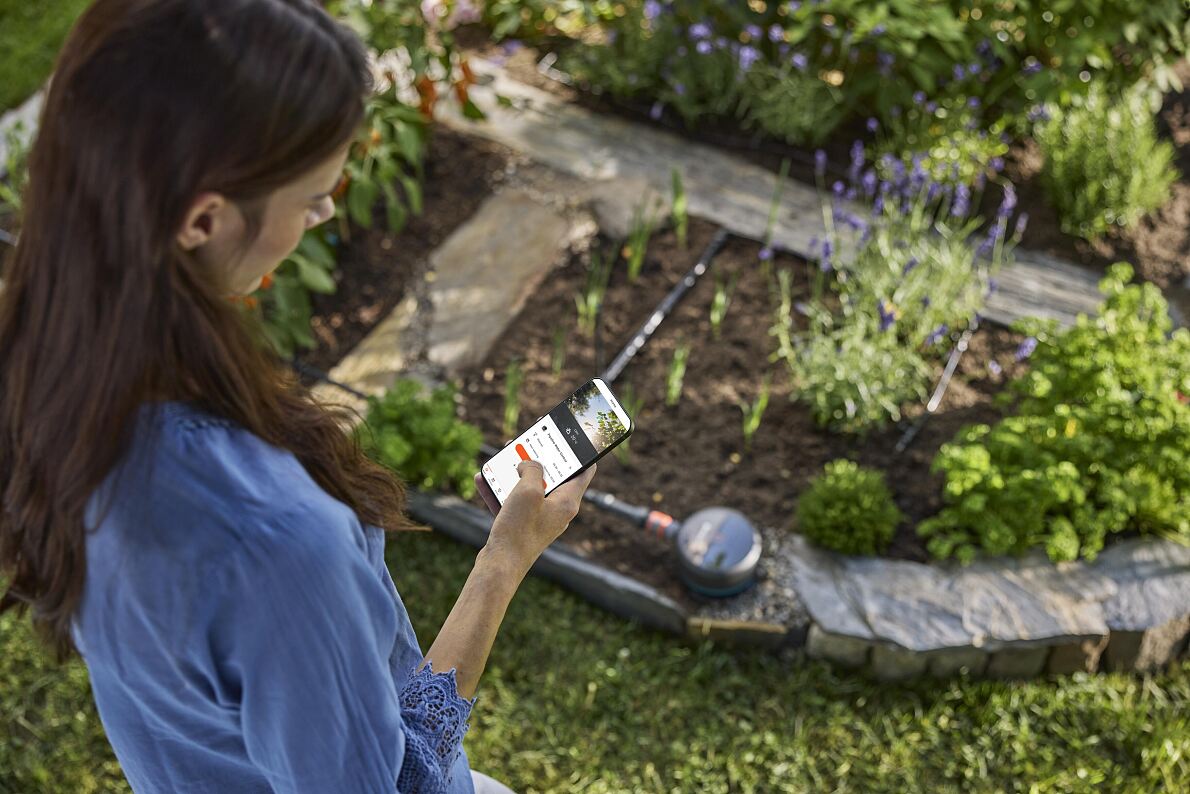 Bewässerungsverbote im Garten: Wenn der Durst zur Regel wird