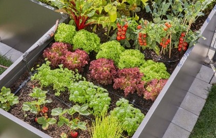 Fresh food from small places