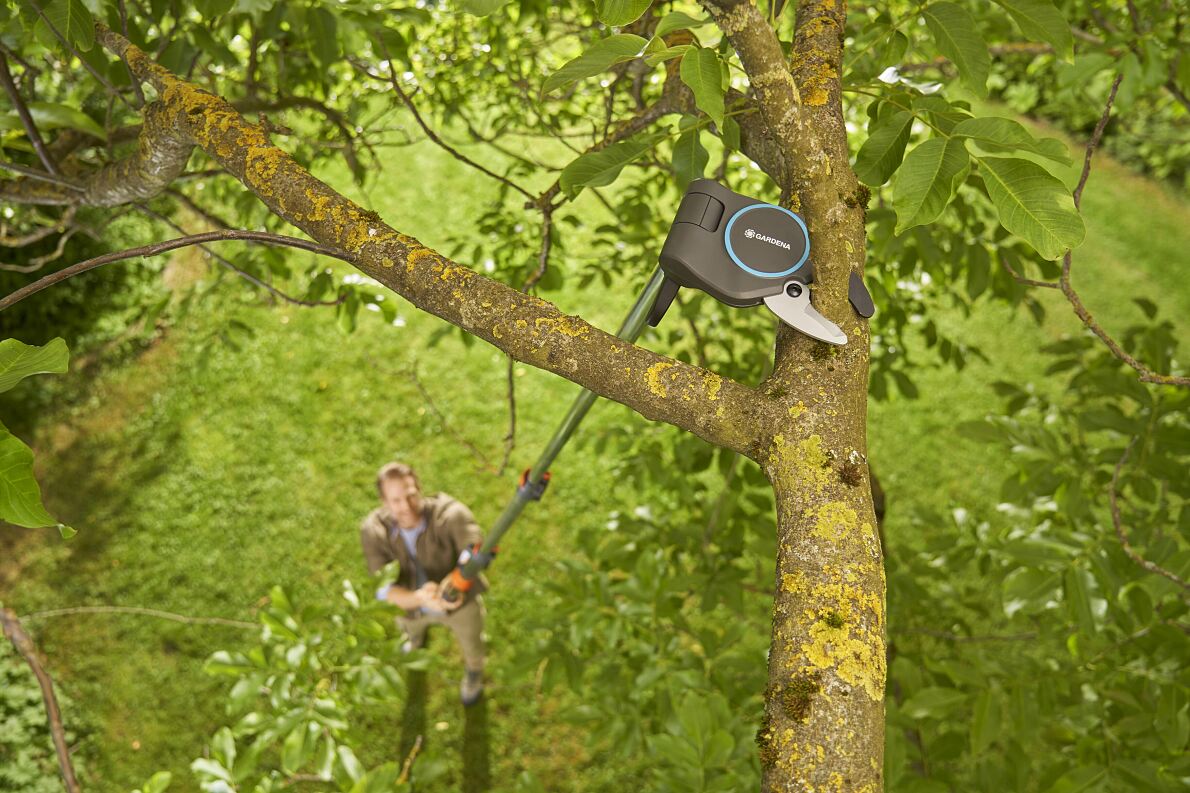 Baum- und Strauchschneider StarCut Pro L 