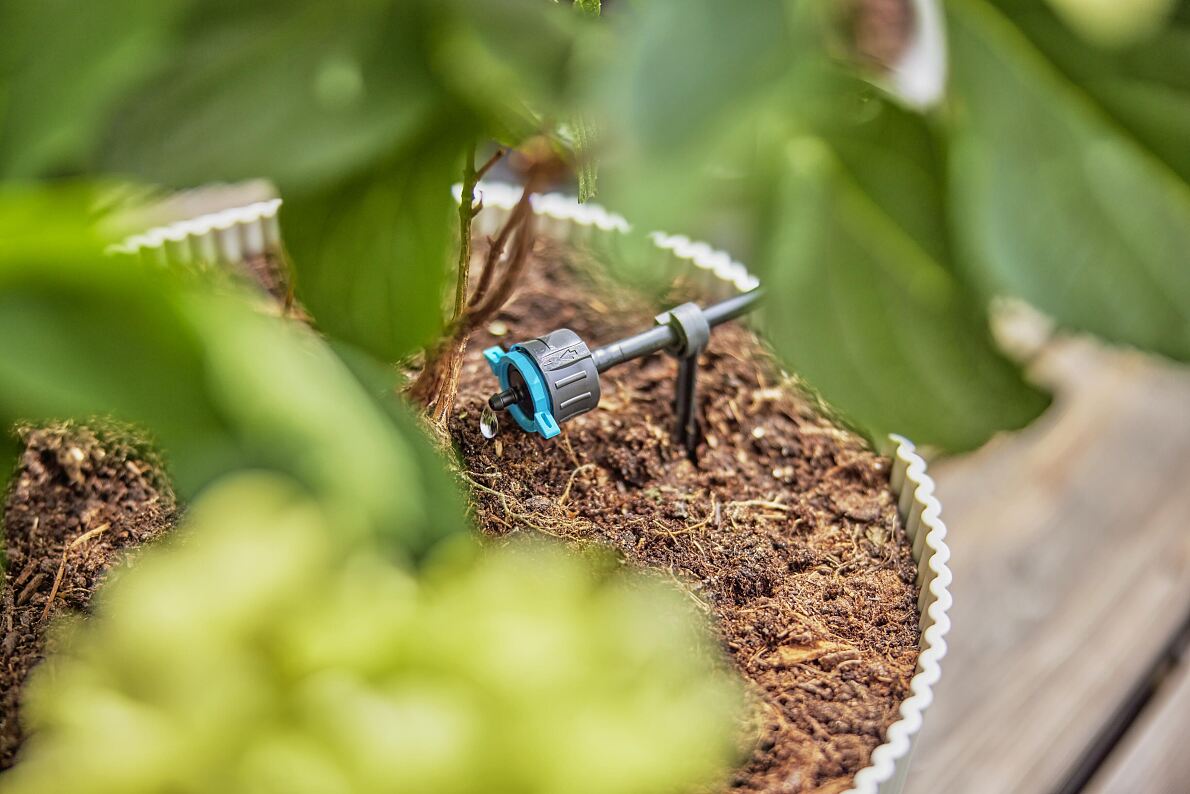 Heatwave alert - immediate help for garden and balcony