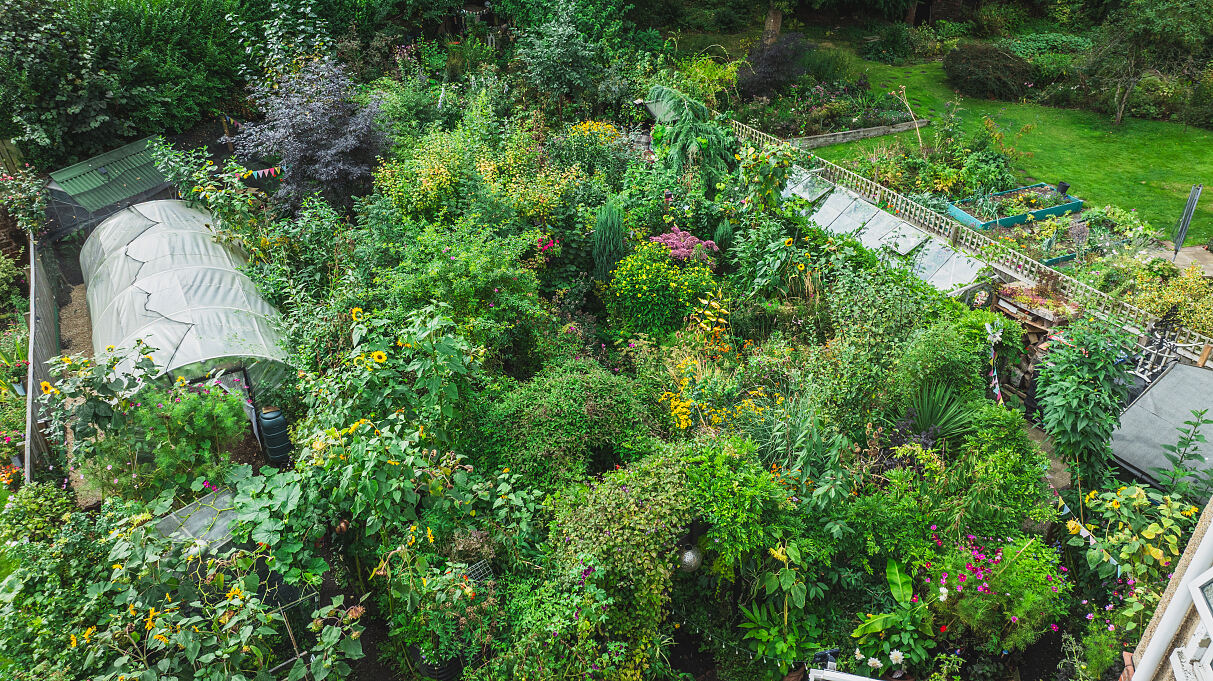 Pot of the Year- Rebeccas Garden