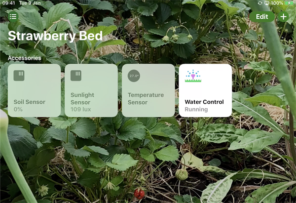 Hey, Siri! Please turn on the Water Control in my Strawberry Bed.