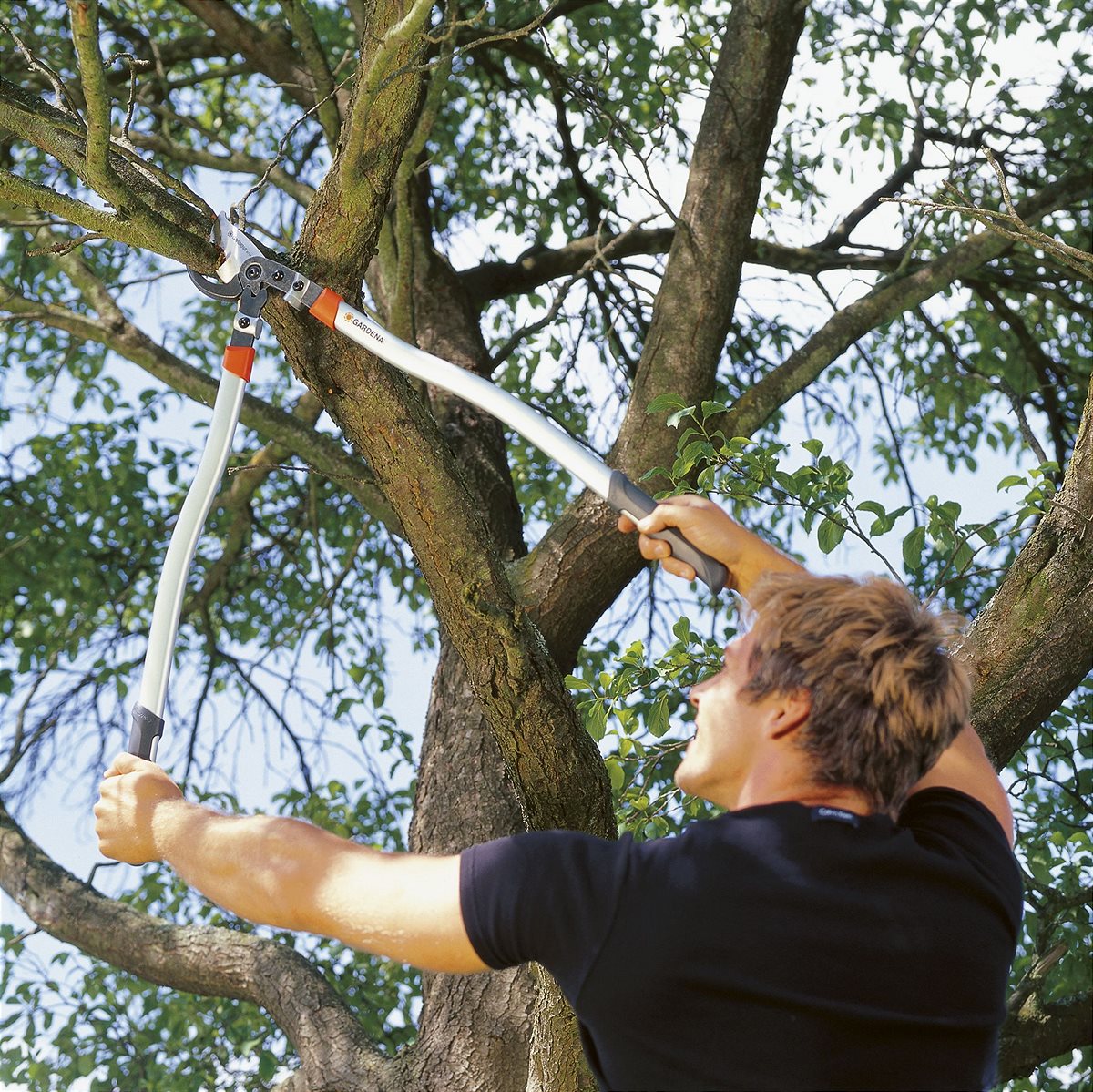 Its pruning time!