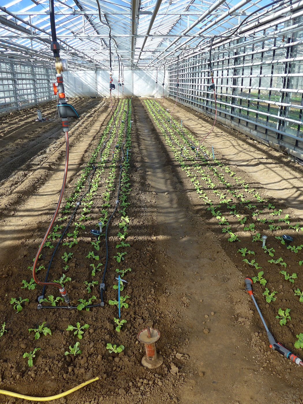 Efficient irrigation solutions