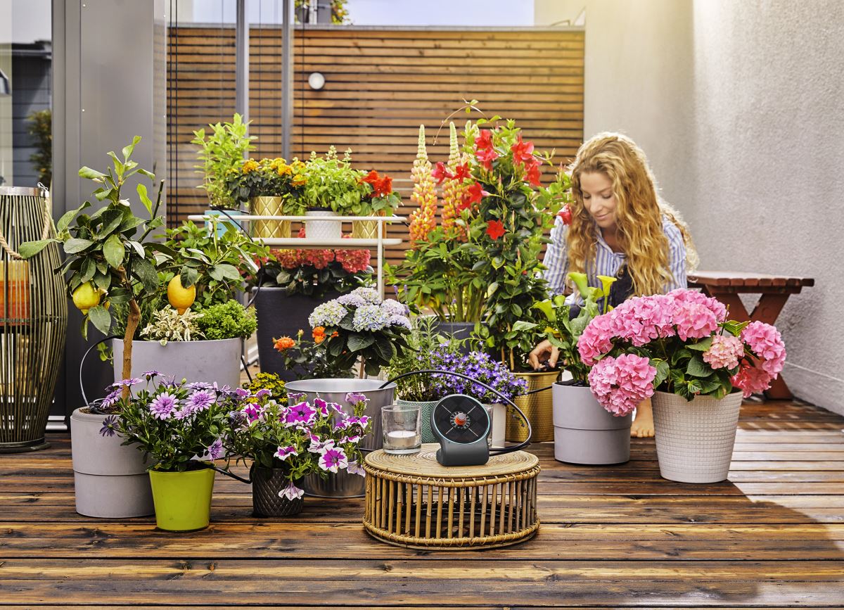 Kit AquaBloom GARDENA