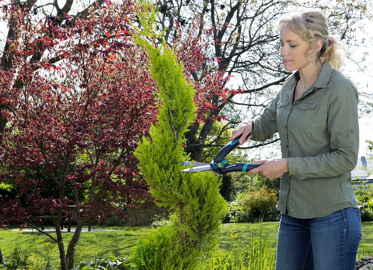 Hedge Clipper PrecisionCut