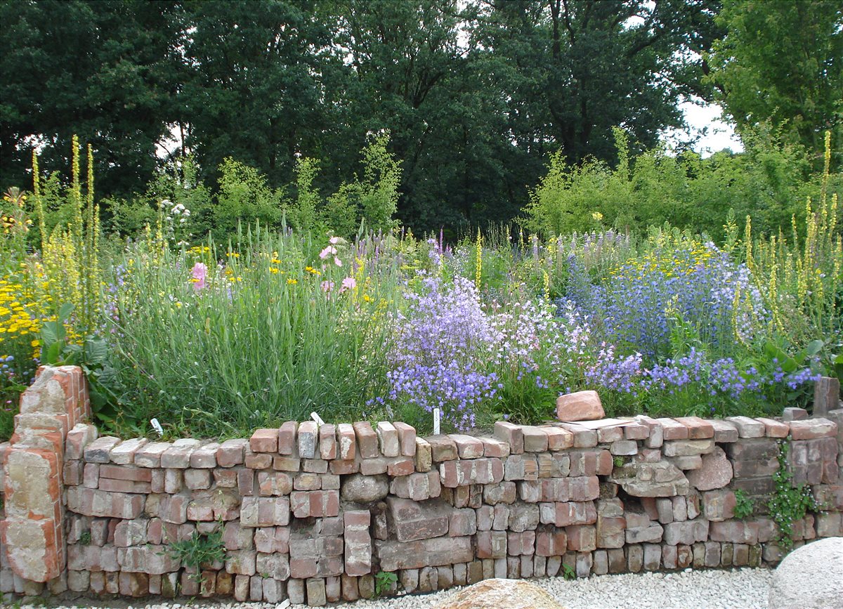 Dry-stone wall for endangered and rare species