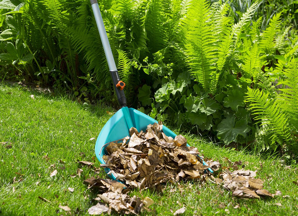 Time-saving collection of leaves