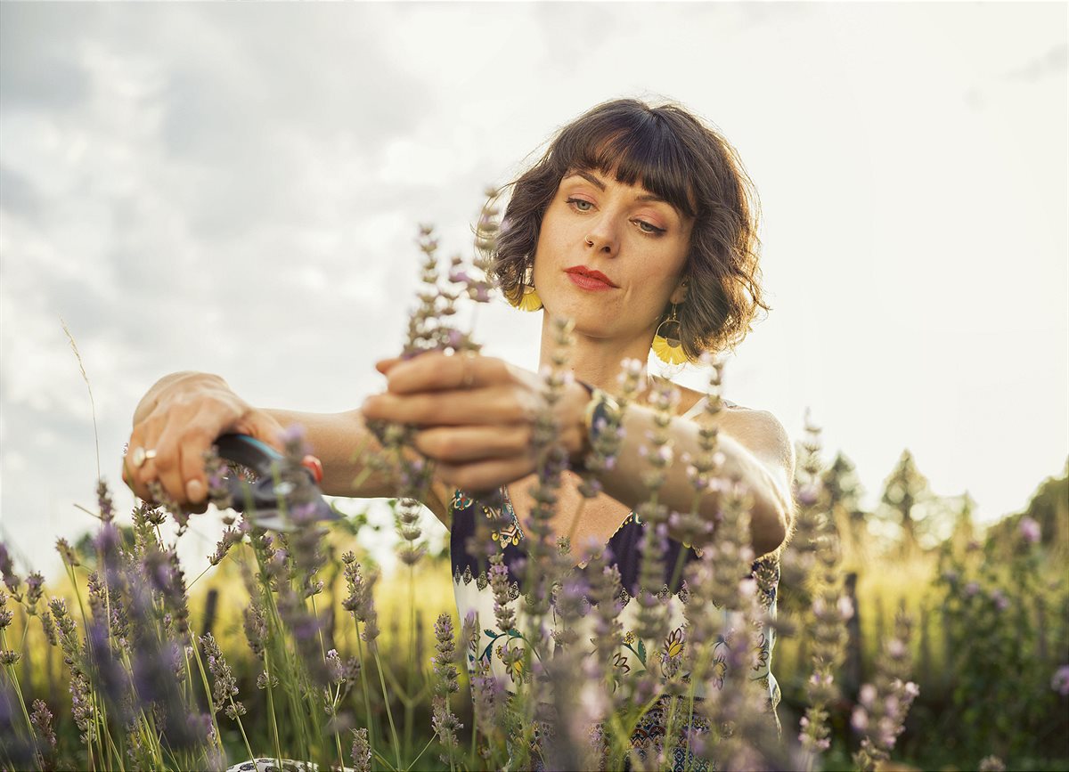 Pruning lavender