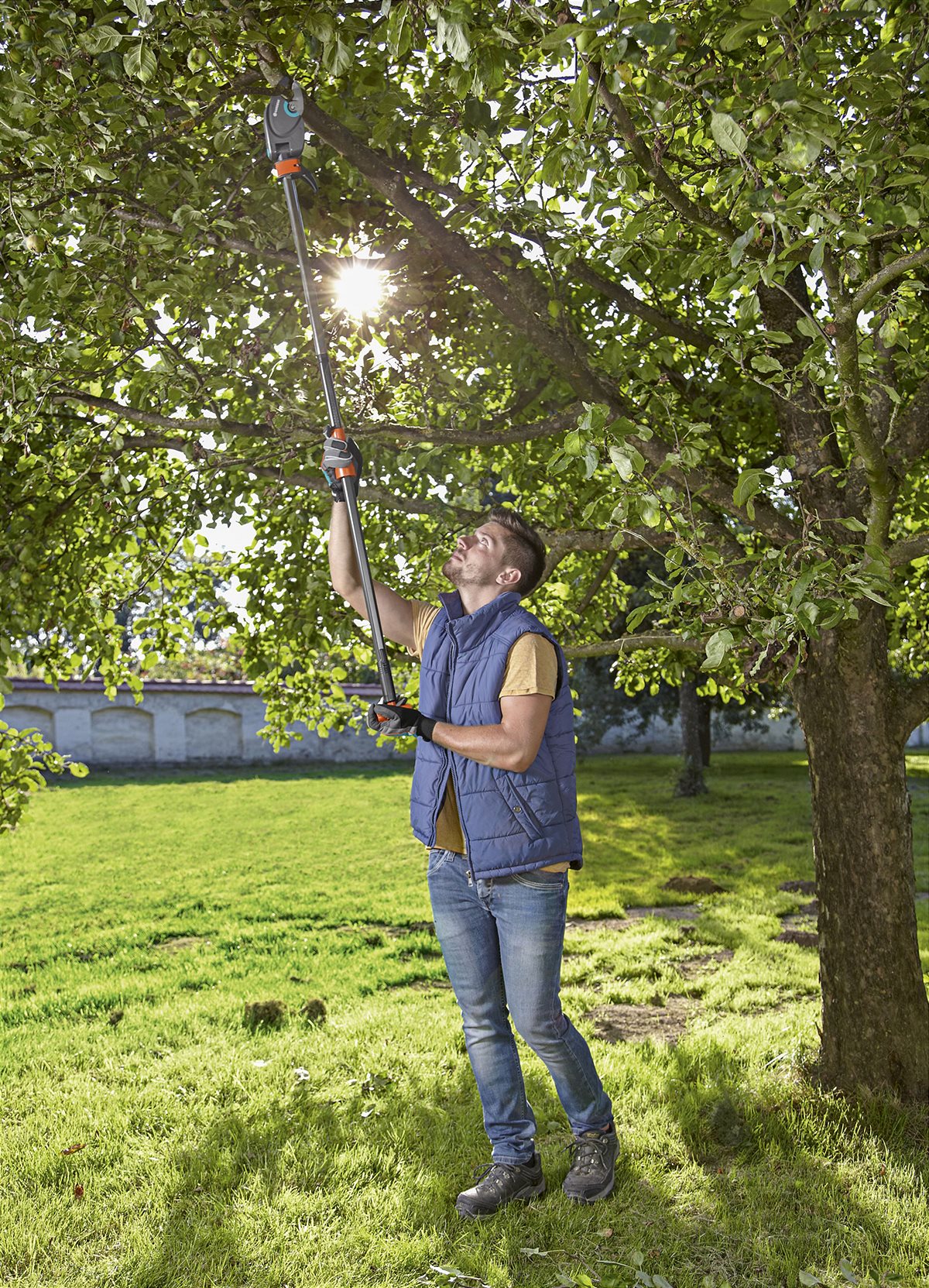 Regular pruning