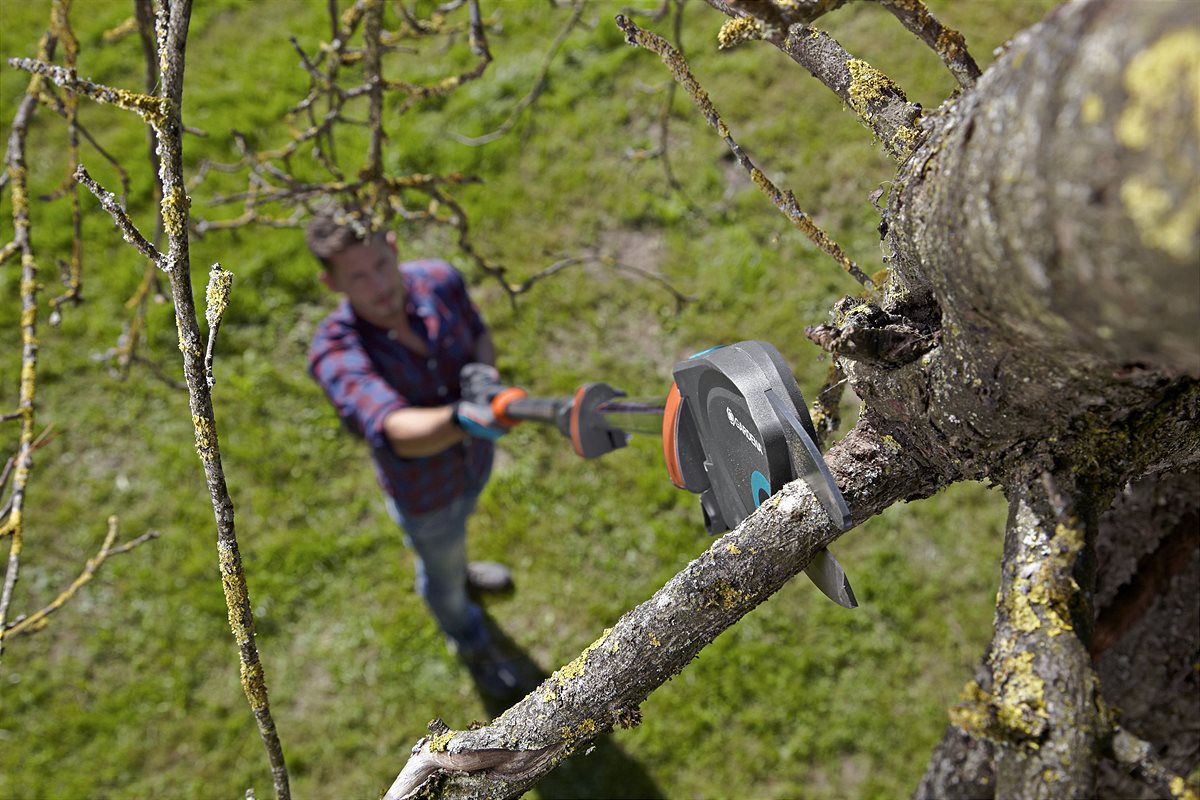 Im Garten immer gut abschneiden