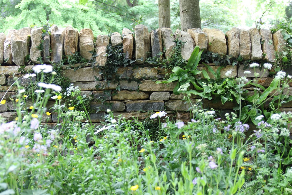 Lebensraum Trockenmauer