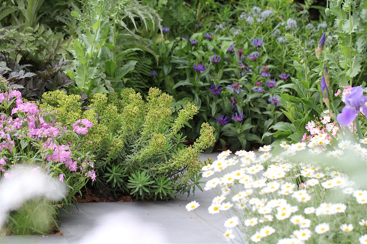 PM06 GAR jardinet