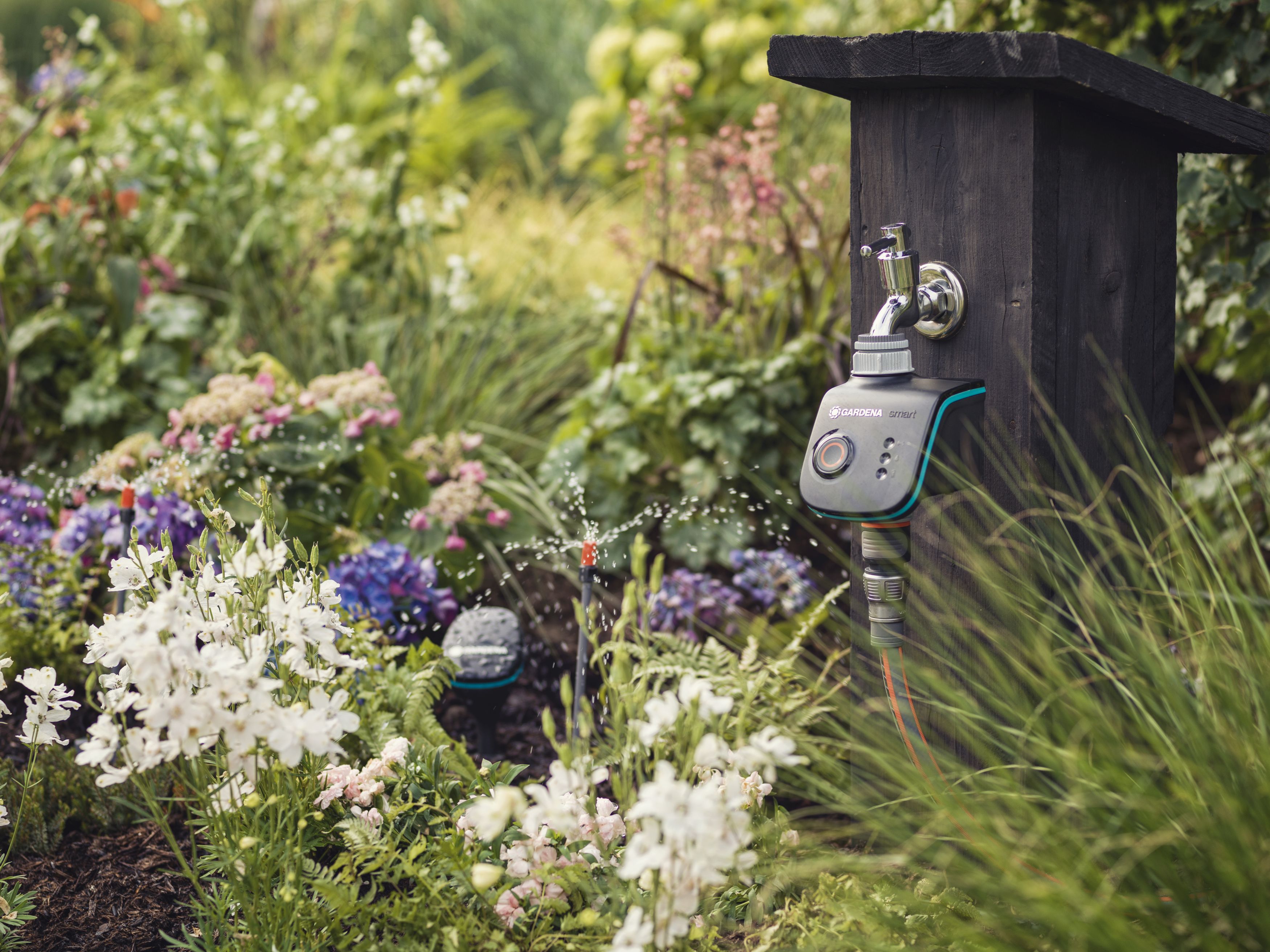 Watering your garden is now even smarter with weather data