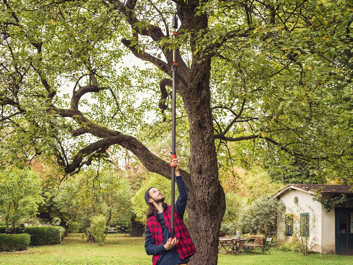 Coupe-branches télescopique StarCut 410 plus - GARDENA