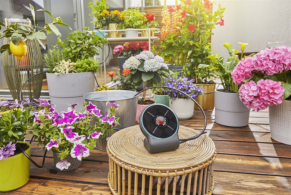 AquaBloom GA220-0254