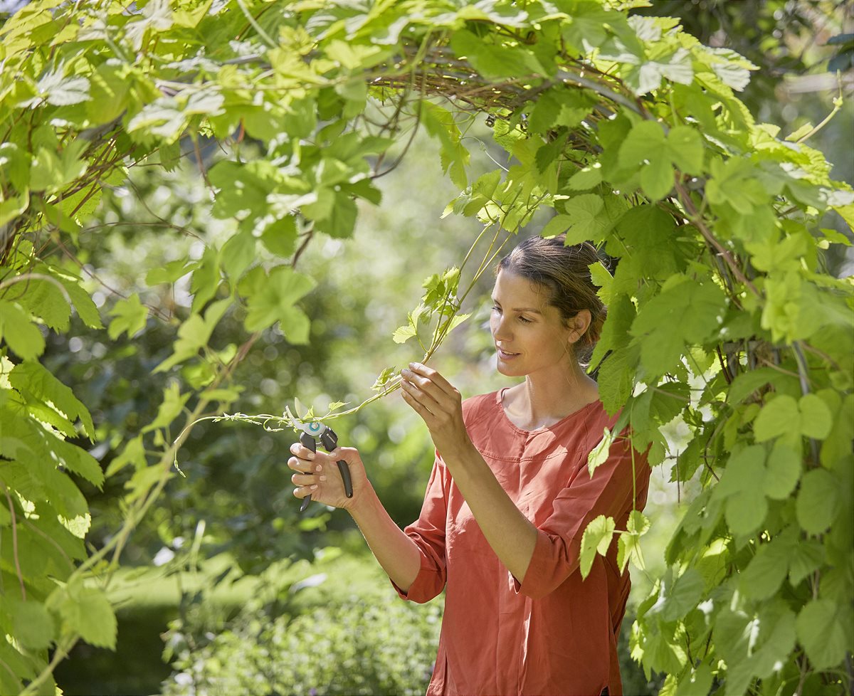 Junge Triebe oder wild rankende Reben problemlos zähmen mit der GARDENA EcoLine-Gartenschere