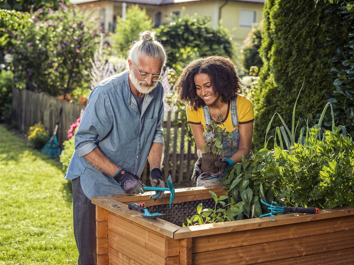 Grow your own fruit and vegetables