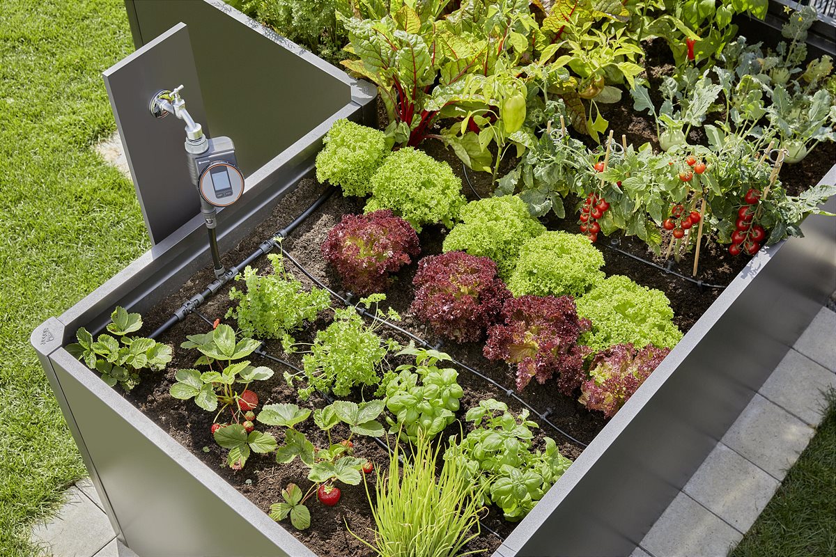 Green garden spaces during dry summer spells