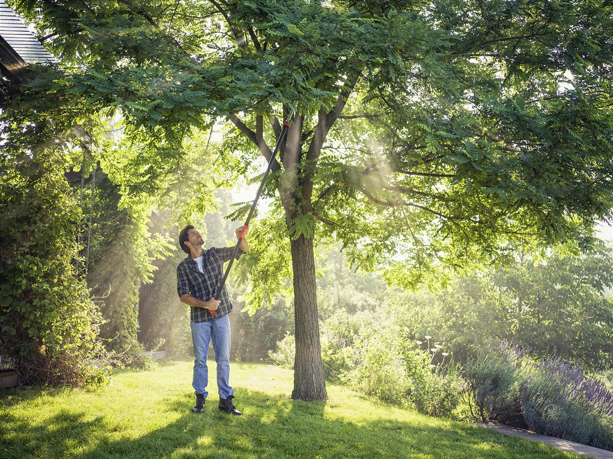 Autumn maintenance for woody plants with GARDENA StarCut 410 Plus