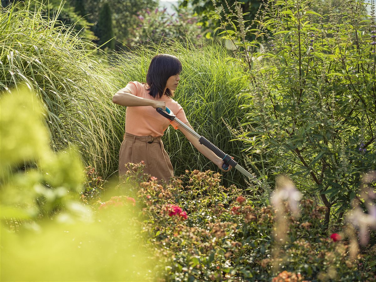 Gentle shaping and maintenance pruning with GARDENA SlimCut 