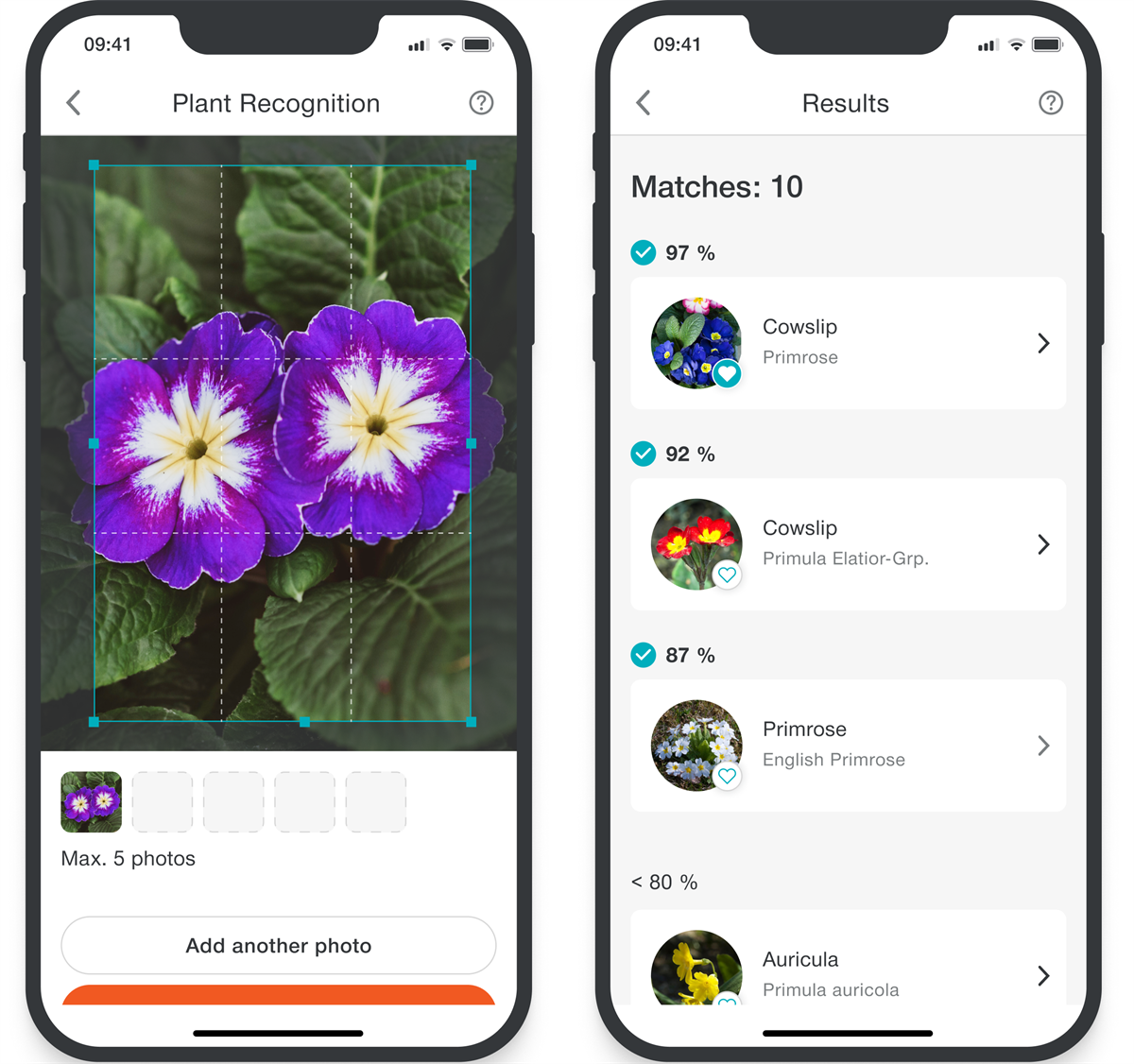 Via photo upload, garden owners can now identify plants unknown to them with one click