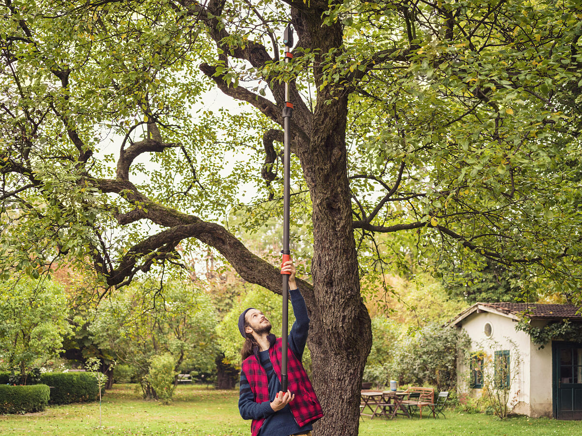 GAR_Baum- und Strauchschneider StarCut