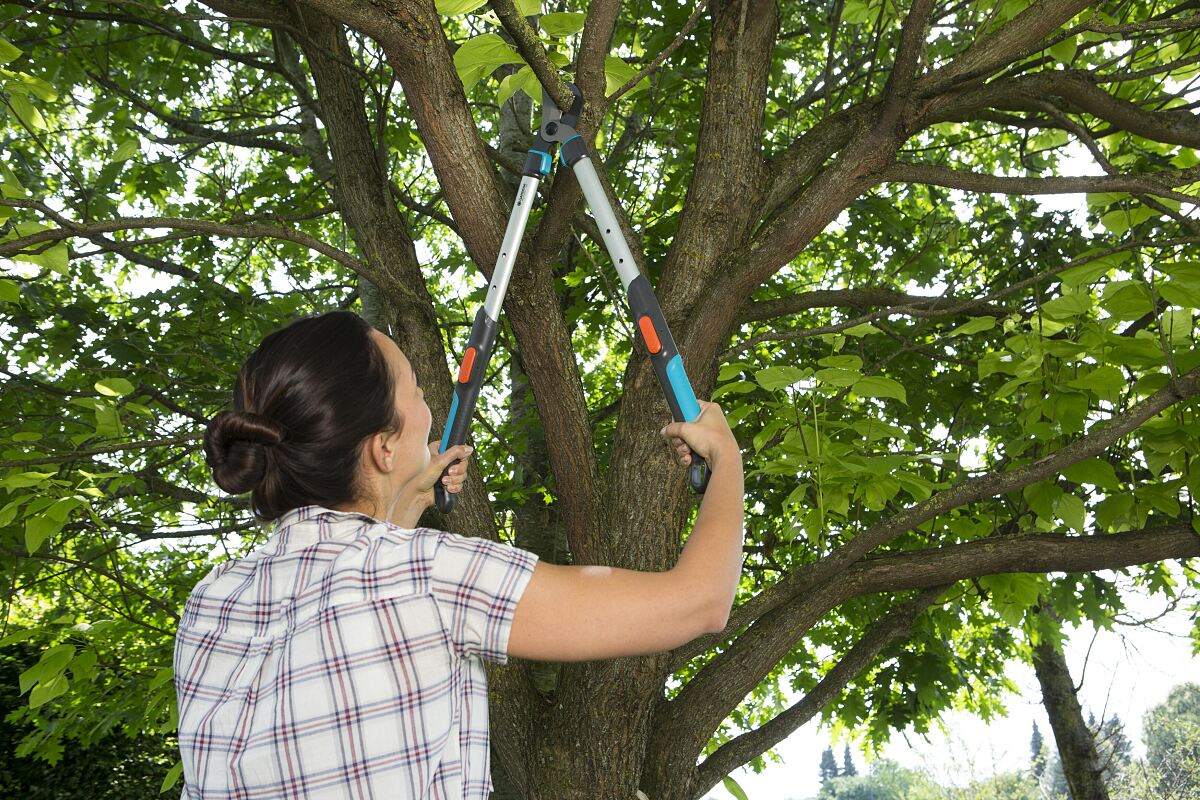 Coupe-branches TeleCut 