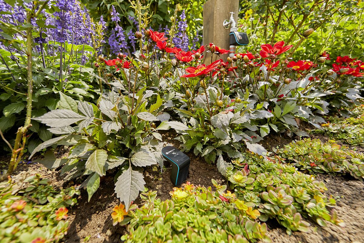 GARDENA smart Sensor med automatisk bevattningsdator
