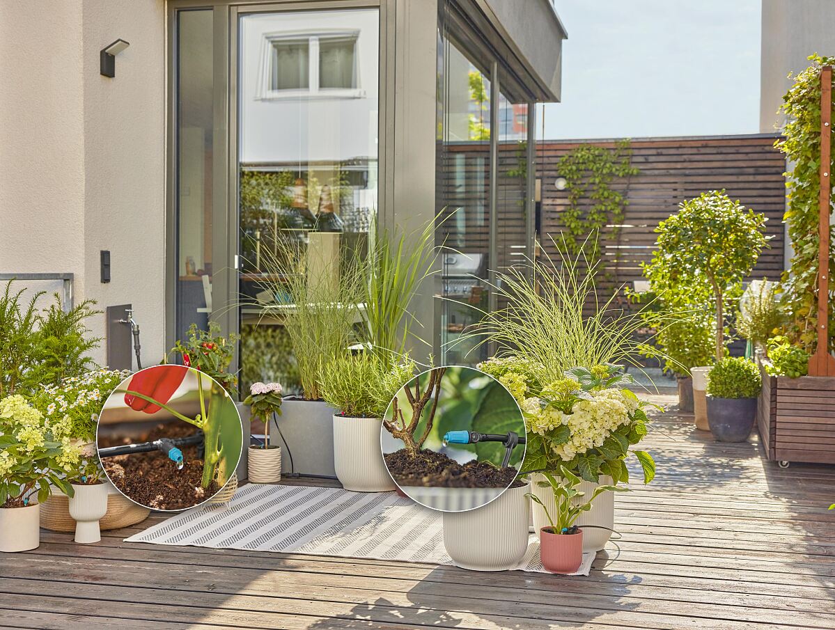 Kit dinitiation pour terrasse jusquà 30 plantes 