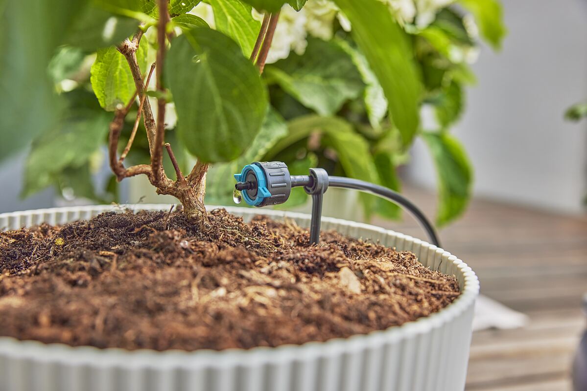 Micro-Drip system