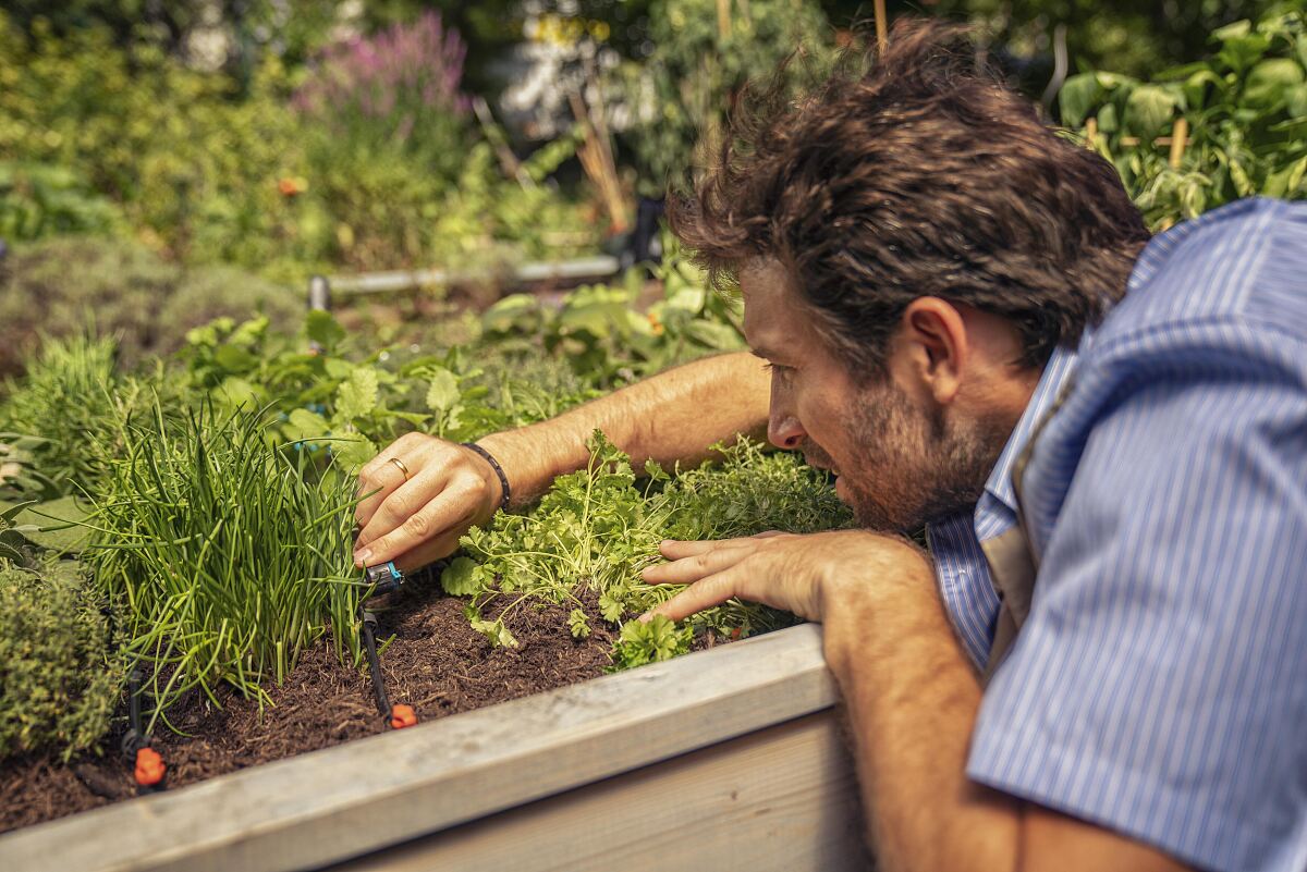 GARDENA Micro-Drip-System für flexible und effiziente Bewässerung