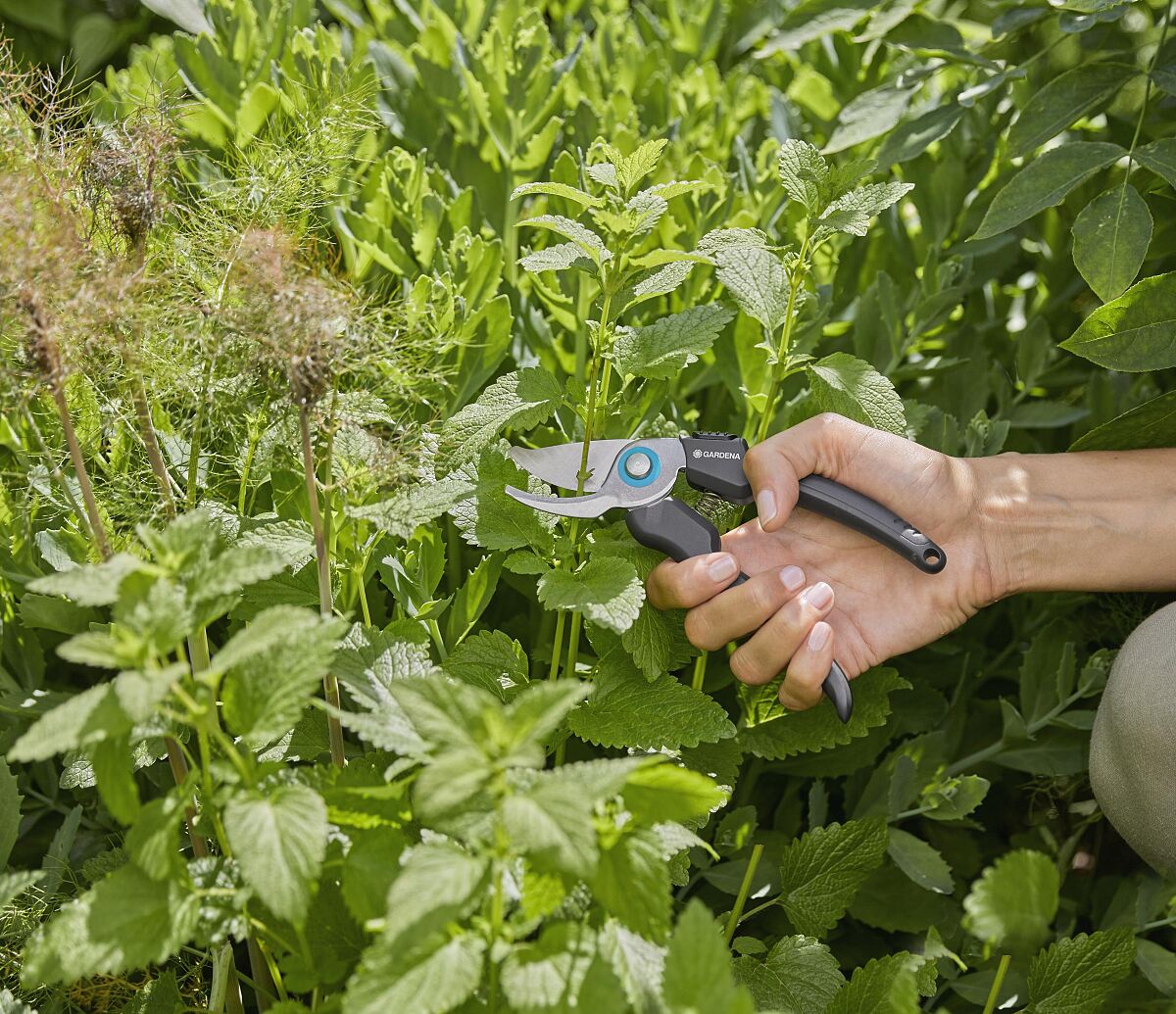 GARDENA EcoLine
