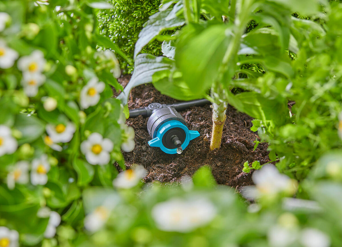 Sparsame Tropfbeäwsserung mit dem GARDENA Micro-Drip-System