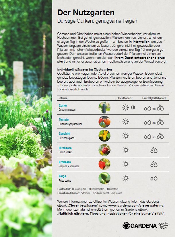 Der Nutzgarten - Durstige Gurken und genügsame Feigen