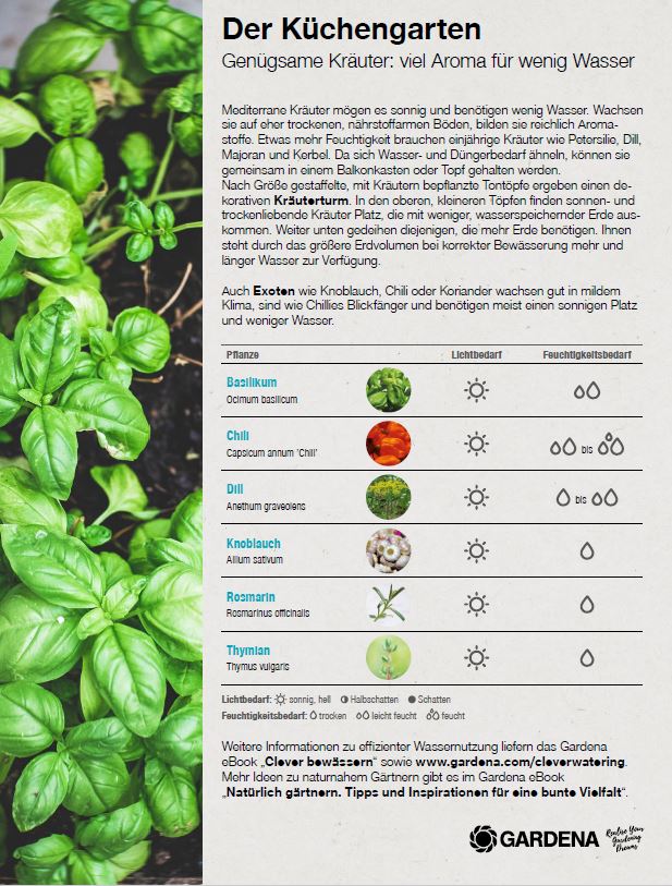 Der Küchengarten - Genügsame Kräuter: viel Aroma für wenig Wasser