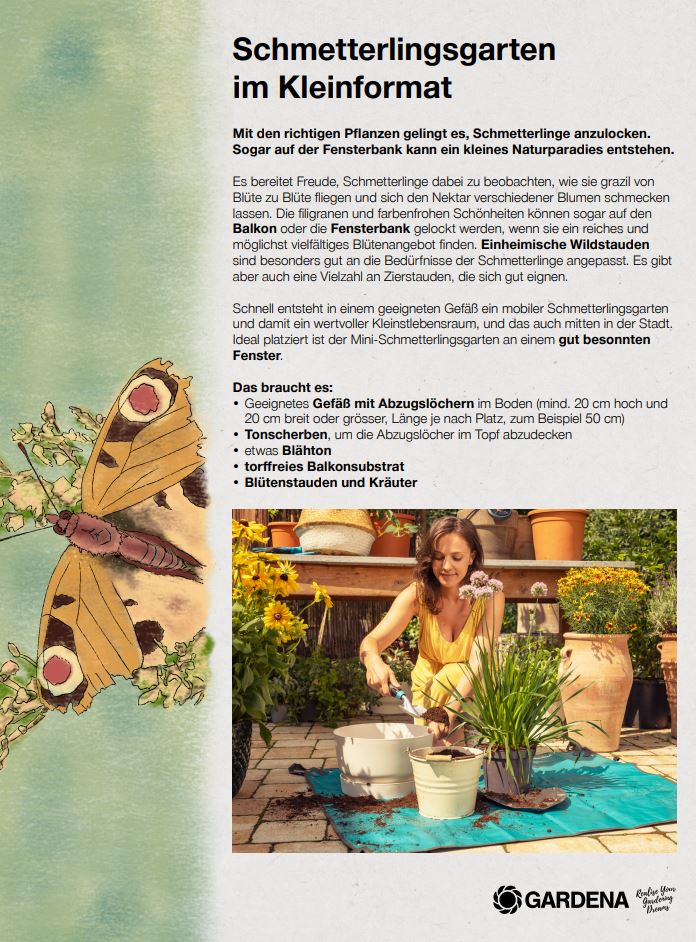Infosheet zur Gestaltung eines eigenen Schmetterlingsgarten