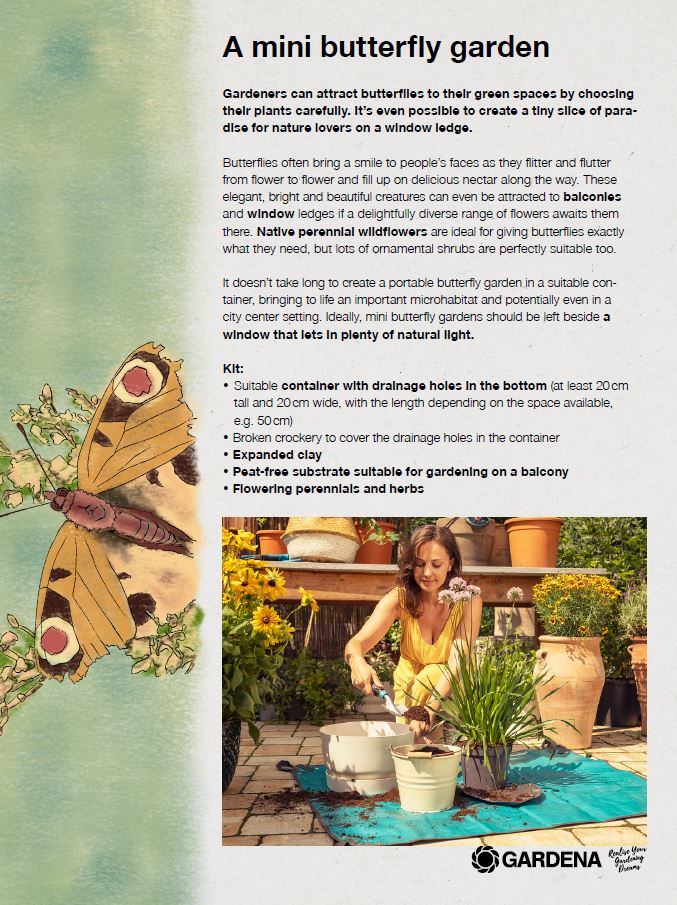 Infosheet butterfly oasis