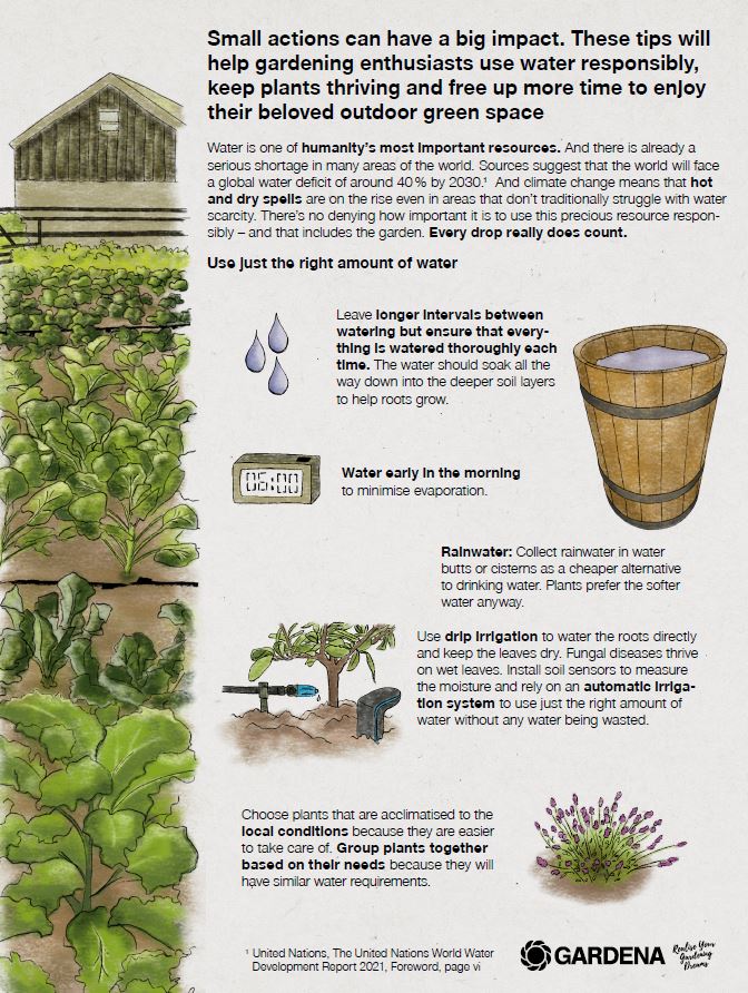 Infosheet watering