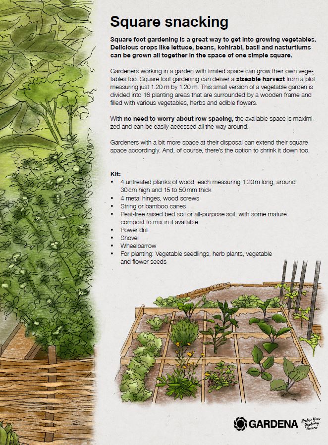 Infosheet square snacking