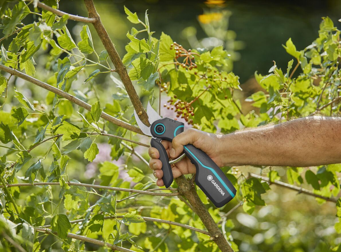 Nowe narzędzia od Gardena ułatwią pielęgnację ogrodu