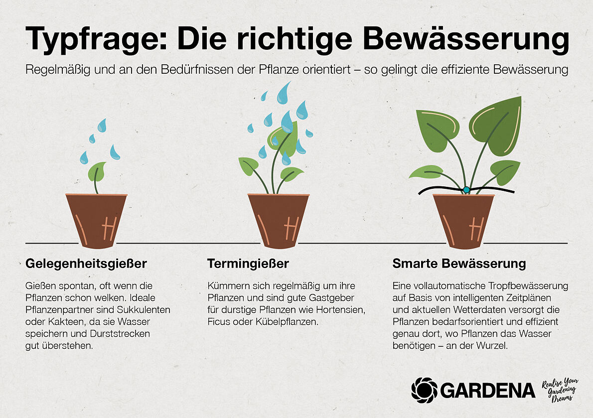 Infosheet zu verschiedenen Bewässerungstypen