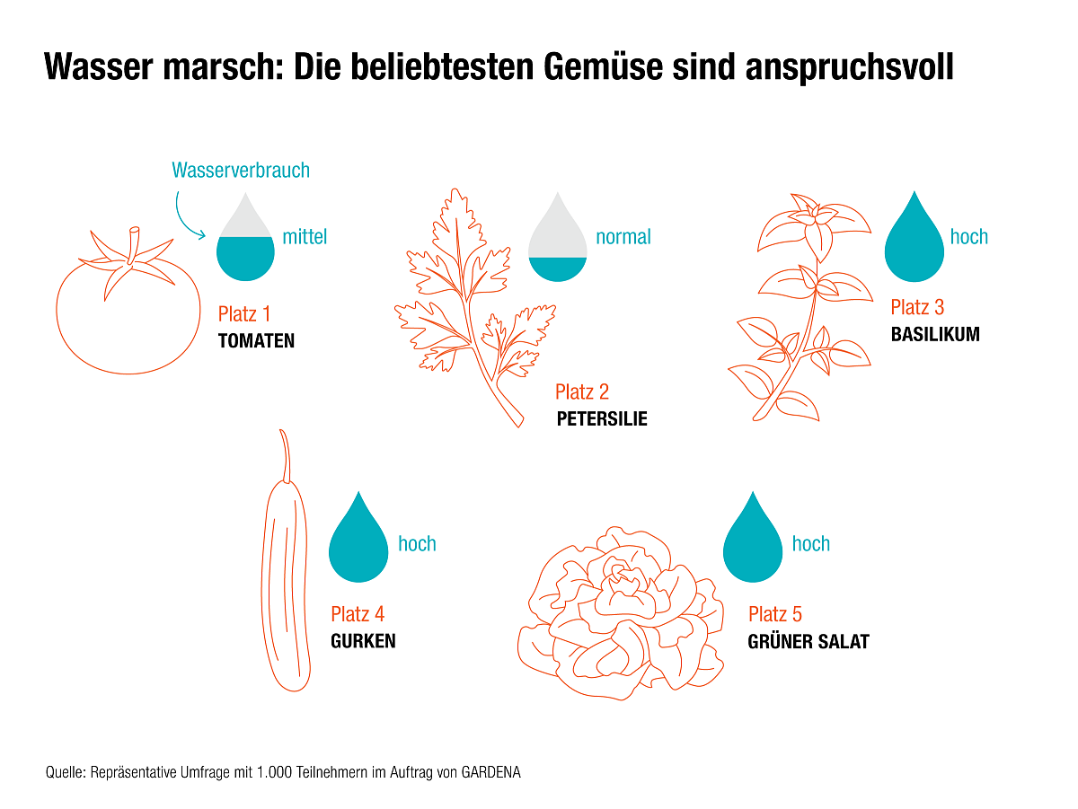 Umfrage zum deutschen Durchschnittsgarten