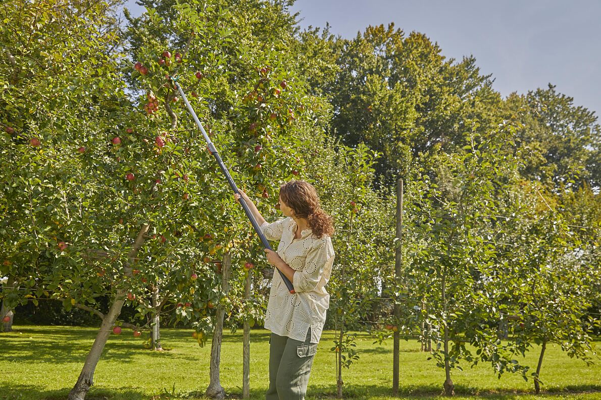 Crochet à branches Combisystem 