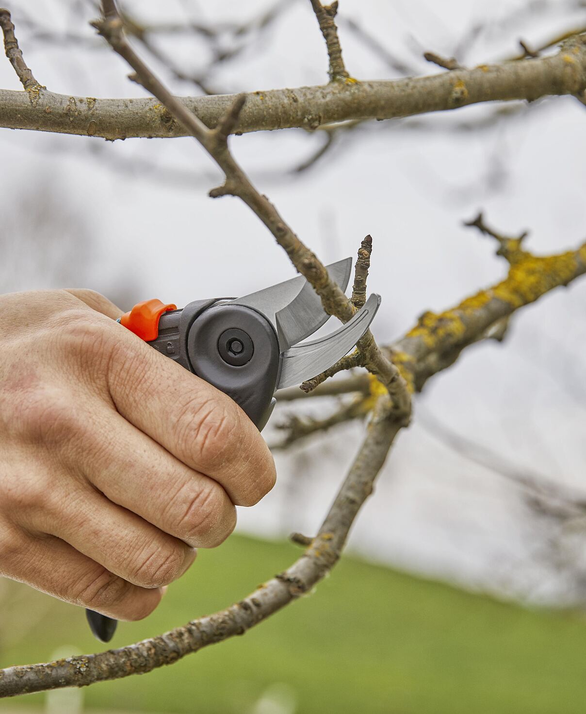 Gardena Expert Cut Garden Secateurs